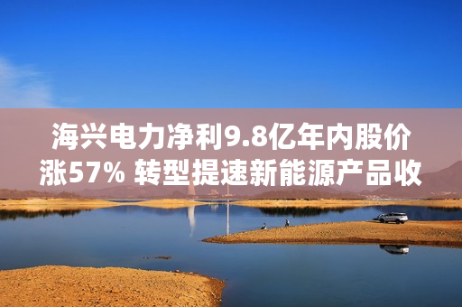海兴电力净利9.8亿年内股价涨57% 转型提速新能源产品收入增283%