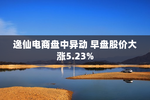 逸仙电商盘中异动 早盘股价大涨5.23%