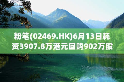 粉笔(02469.HK)6月13日耗资3907.8万港元回购902万股