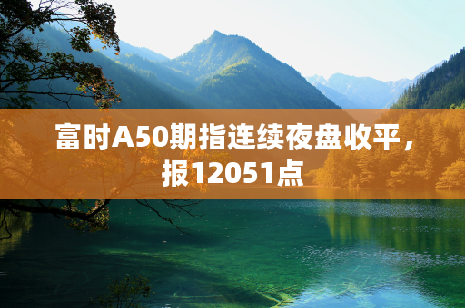 富时A50期指连续夜盘收平，报12051点