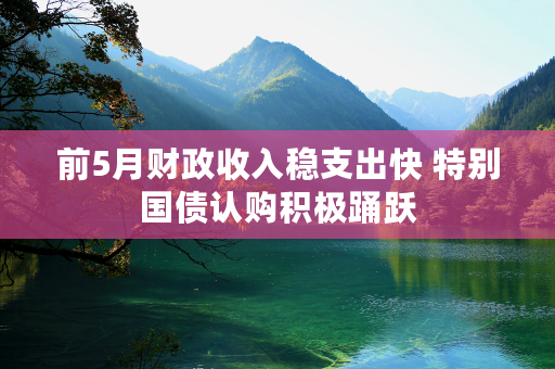 前5月财政收入稳支出快 特别国债认购积极踊跃