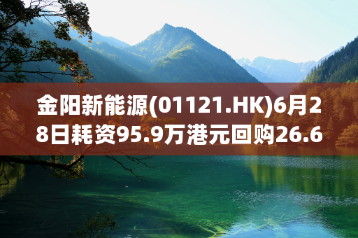 金阳新能源(01121.HK)6月28日耗资95.9万港元回购26.6万股