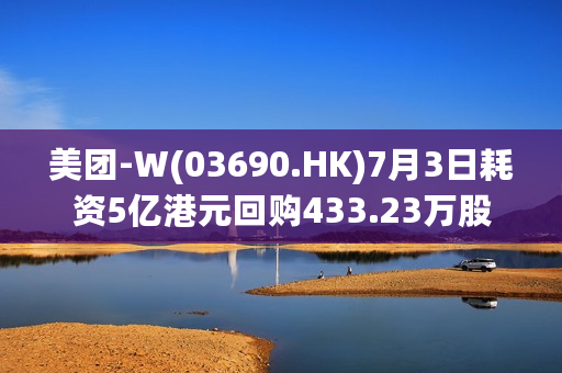 美团-W(03690.HK)7月3日耗资5亿港元回购433.23万股