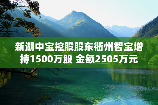 新湖中宝控股股东衢州智宝增持1500万股 金额2505万元