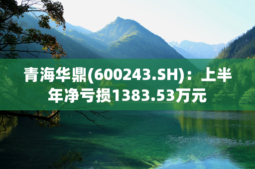 青海华鼎(600243.SH)：上半年净亏损1383.53万元