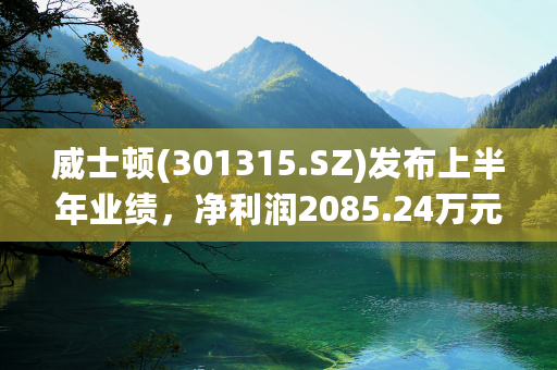 威士顿(301315.SZ)发布上半年业绩，净利润2085.24万元，增长25.3%