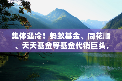 集体遇冷！蚂蚁基金、同花顺、天天基金等基金代销巨头，挑战重重……