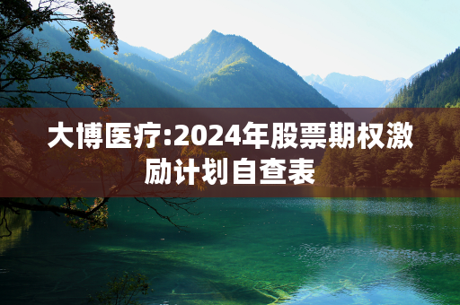 大博医疗:2024年股票期权激励计划自查表