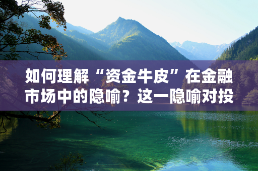 如何理解“资金牛皮”在金融市场中的隐喻？这一隐喻对投资者有何启示？