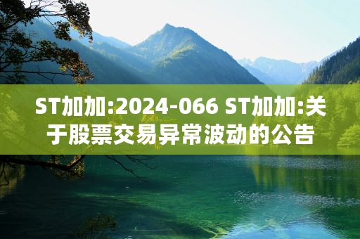 ST加加:2024-066 ST加加:关于股票交易异常波动的公告