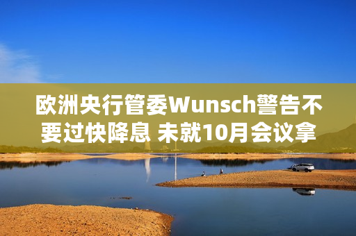 欧洲央行管委Wunsch警告不要过快降息 未就10月会议拿定主意