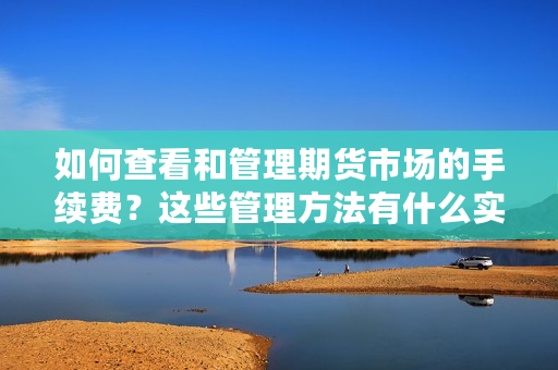 如何查看和管理期货市场的手续费？这些管理方法有什么实际效果？