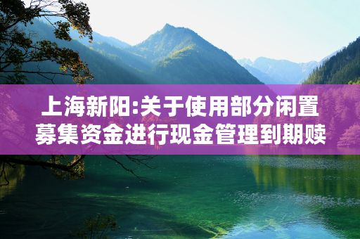 上海新阳:关于使用部分闲置募集资金进行现金管理到期赎回的公告