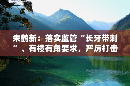 朱鹤新：落实监管“长牙带刺”、有棱有角要求，严厉打击各类外汇违法违规活动