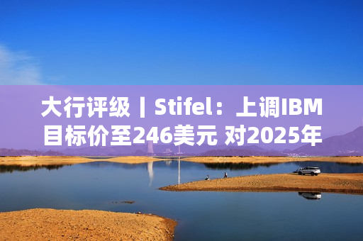 大行评级丨Stifel：上调IBM目标价至246美元 对2025年发展前景乐观