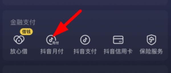 关于2023年新出抖音月付变现，抖音套现24小时业务，小编总结一套方法 抖音月付 第2张