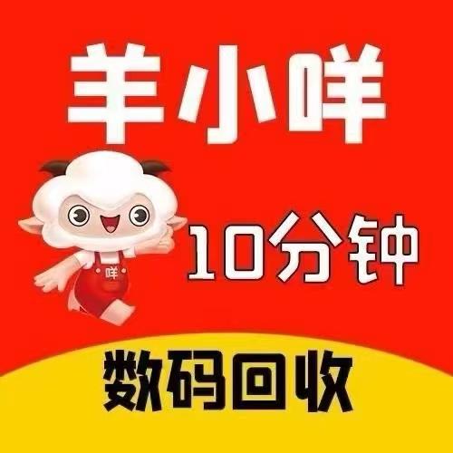 羊小咩额度怎么提现到支付宝上面，3个技巧提现羊小咩额度！ 羊小咩享花卡 羊小咩消费额度怎么变现 羊小咩套出来秒回 第2张