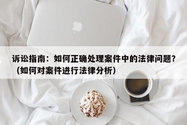 诉讼指南：如何正确处理案件中的法律问题？（如何对案件进行法律分析）