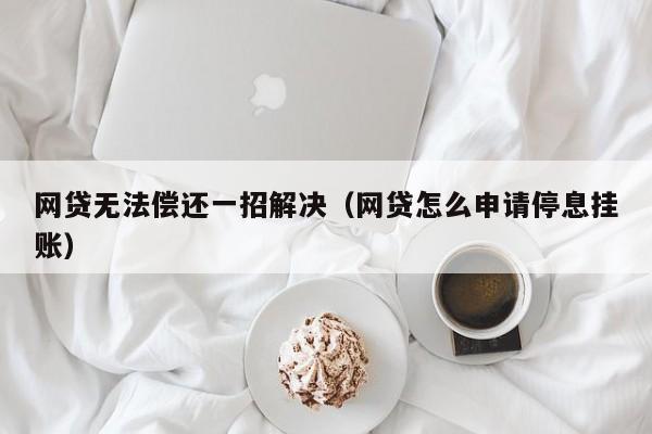 网贷无法偿还一招解决（网贷怎么申请停息挂账）