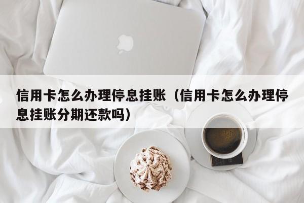 信用卡怎么办理停息挂账（信用卡怎么办理停息挂账分期还款吗）