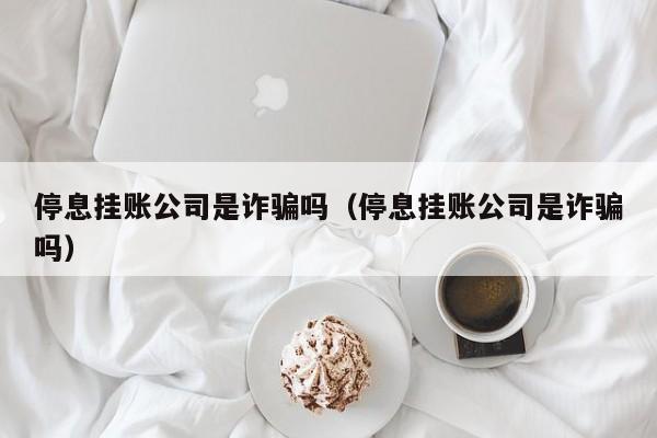 停息挂账公司是诈骗吗（停息挂账公司是诈骗吗）