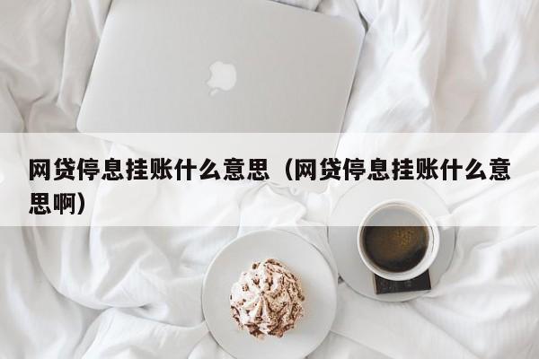 网贷停息挂账什么意思（网贷停息挂账什么意思啊）