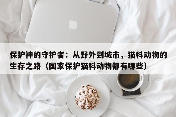 保护神的守护者：从野外到城市，猫科动物的生存之路（国家保护猫科动物都有哪些）