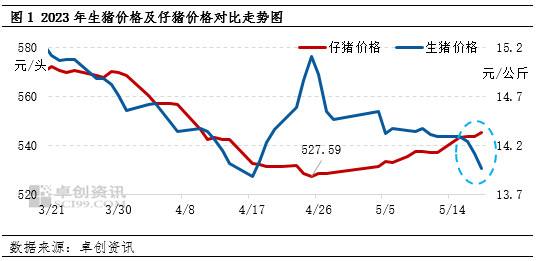 卓创资讯：5月仔猪价格“逆势上涨” 6月份或再涨难度加大