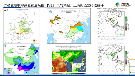 中粮期货【花生】：6月种植三问