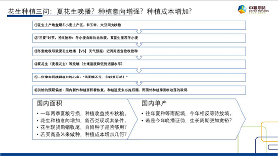 中粮期货【花生】：6月种植三问