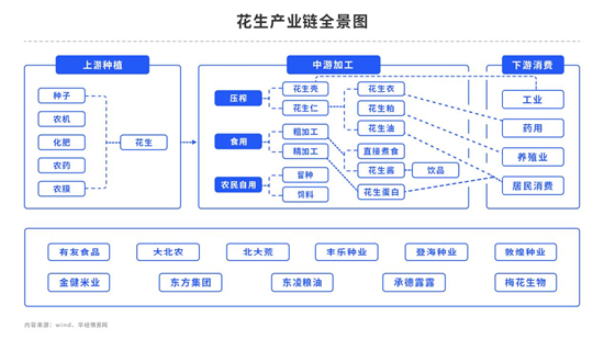 中粮期货【花生】：6月种植三问