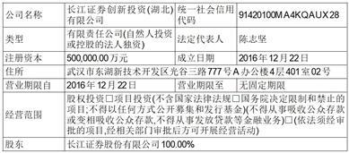 长江证券承销保荐有限公司关于苏州规划设计研究院股份有限公司参与战略配售的投资者的专项核查报告