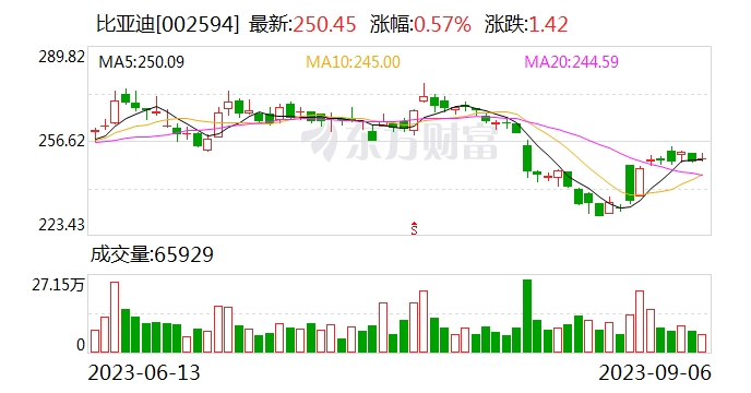 比亚迪再成立2家方程豹销售公司 注册资本均为100万元